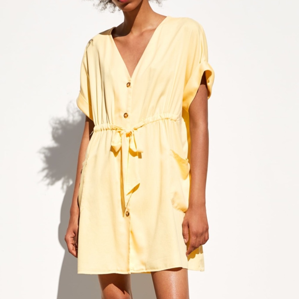 Zara dress